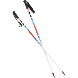 Joystick Koi Ski Pole