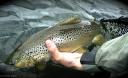 Fly Fishing Tips: Casting to Catch More Fish